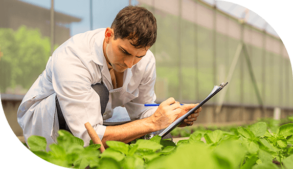 Paisaje aéreo de colinas y bosques en San Juan, Puerto Rico, con tierras despejadas para la agricultura, ilustrando el financiamiento de bienes raíces agrícolas.