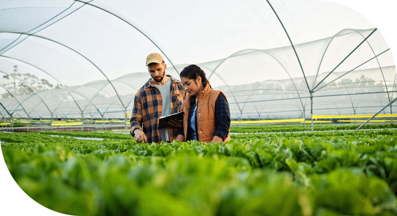 Paisaje aéreo de colinas y bosques en San Juan, Puerto Rico, con tierras despejadas para la agricultura, ilustrando el financiamiento de bienes raíces agrícolas.